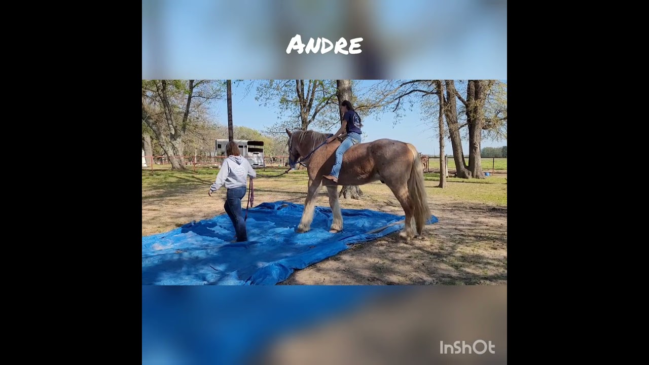 Andre