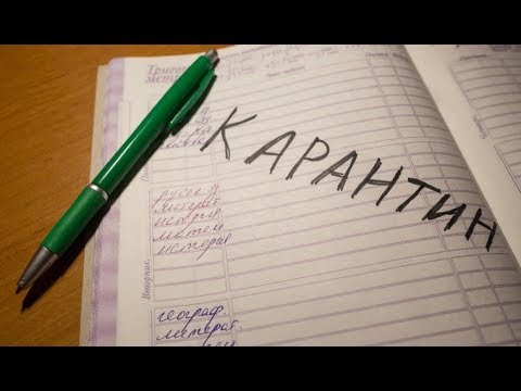 В тамбове не продлят карантин 2018 В тамбове не продлят карантин 2018