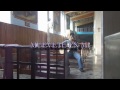 video MUEVETE EN MI. Musica Catolica. LLAMITAS Renovacion Carismatica Video HD