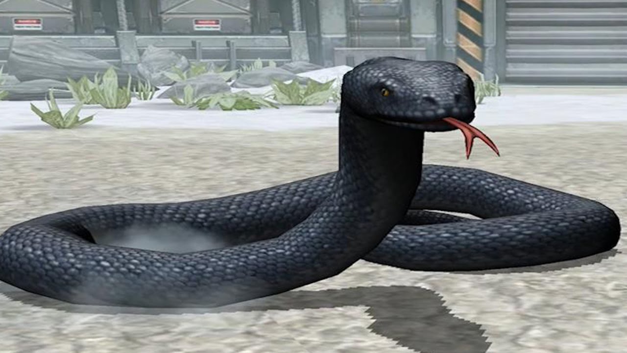 Image currently unavailable. Go to www.generator.jailhack.com and choose Jurassic Park Builder image, you will be redirect to Jurassic Park Builder Generator site.
