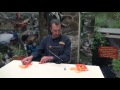 Le Muddler blob orange - Montage d’un blob Le Muddler blob orange - Montage d’un blob