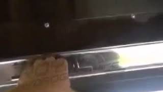 Sulu Desen Kaplama Kazani - Hydrographics Su Transfer Baski Kazani Real D Türkiye - Kalite
