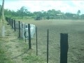 prova de laço comprido - jangada mt