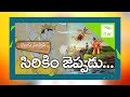 గజేంద్రుడిని కాపాడేందుకు బయలుదేరిన శ్రీమహావిష్ణువు | Pothana Bhagavatham Padyalu | New Waves గజేంద్రుడిని కాపాడేందుకు బయలుదేరిన శ్రీమహావిష్ణువు | Pothana Bhagavatham Padyalu | New Waves
