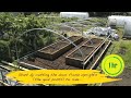polytunnels