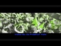 Fandry Song Mixed Dj Praniket Osmanabad And By Dj Prabhat ...
