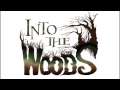 Chris Pine And Jake Gyllenhaal To Join INTO THE WOODS - AMC Movie News