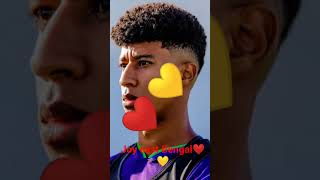 SEXledtruhk Video Image