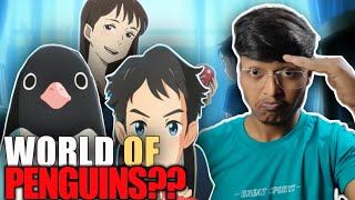Penguin Highway Anime In Hindi Review A World Of Mysterious Penguins Clanimex