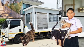 บ้านแมวเคลื่อนที่มาส่งแล้วครับผม | น้องบีม