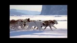 Watch Jethro Tull Dogs In The Midwinter video