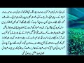 Ghar Damad Aur Sas Ki Kahani | Heart Touching Stories | Sabaq Amoz Kahani | Kahani Zindagi
