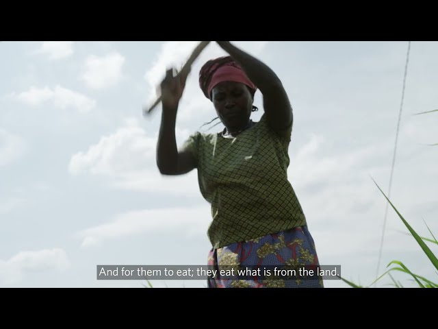 Watch The power of women smallholder farmers: Jeanne D'Arc's Story on YouTube.