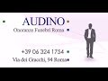 Audino Funerali Roma