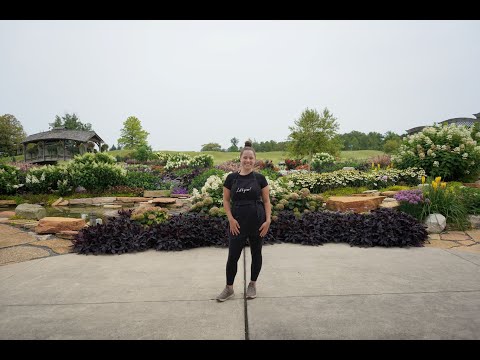 Let's Grow: A Garden Inspiration ENGLISH GARDENS