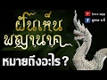 ฝันเห็นพญานาค หมายถึง..?