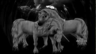 Watch De Vision No Tomorrow video