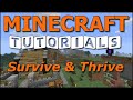 Minecraft Tutorials - E31 Dye and Colored Wool (Survive and Thrive II)