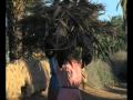 Rythmes de Marrakech