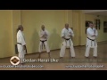 OKINAWA  SHIMA HA SHORIN-RYU KARATE-JUTSU