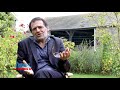 Parodie L'amour est dans le champ - Palmashow