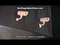 7-ELEVEN ROBBERY SERIES (4 SCENES)