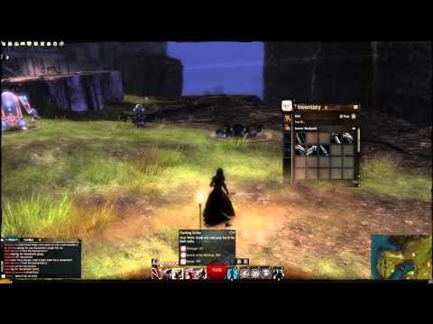 Guild Warssylvari on Guild Wars   Guild Wars 2   High Level Sylvari Necromancer Gameplay