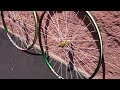 ex rims