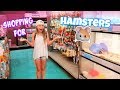 Getting 3 Hamsters! Shopping at Petco and PetSmart for Hamster Gear!