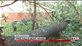 Tree crashes across home, garage seconds after man gets out of car