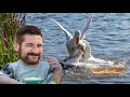 Fowl Play - Untitled Goose Game Funny Moments