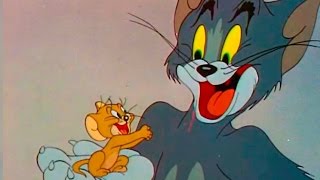 Tom And Jerry - Jerrys Diary - Episode 45 - Tom And Jerry Cartoon Iukeitv