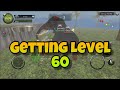Wild Animals Online: GETTING MAJOR TO 60