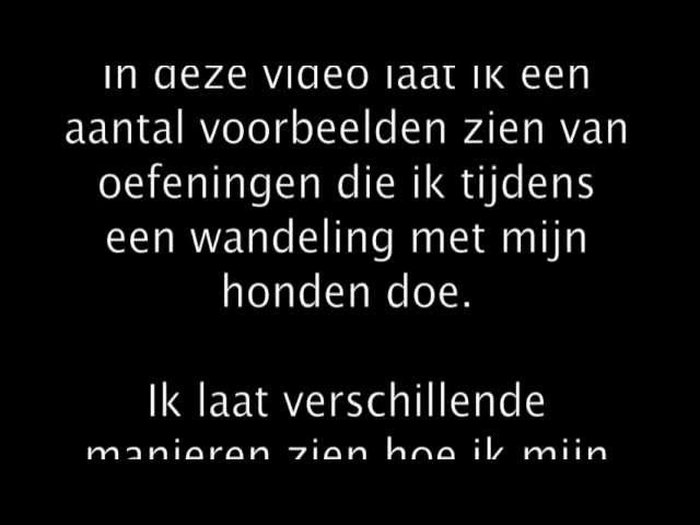 Train je hond: Komen en Belonen