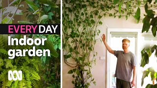 Watch Ivy Everyday video