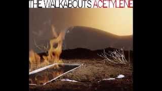 Watch Walkabouts Coming Up For Air video