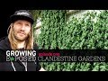 Growing Exposed Episode 1 - Clandestine Gardens