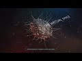 Virus Video preview