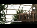 euronews hi-tech - Stefan Lehnert invente la toiture en coussins d'air