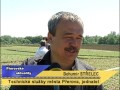 Přerovské aktuality - 19.5.2017 Přerovské aktuality - 19.5.2017