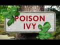 The Chemistry of Poison Ivy - Reactions