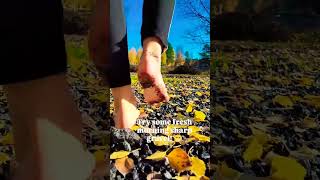 Foot Fantasy Feet Soles, And Toes
