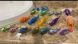 Hexbug Aquabot & Zuru Robo Fish Collection Updated 2021