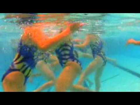 Millikan Girl's Water Polo 2009 To Pee or Not To Pee Millikan Girl's Water Polo 2009 To Pee or Not To Pee
