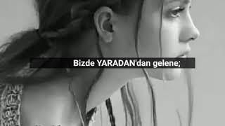 Elif Gibi...