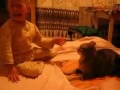 baby FAIL-cat revenge