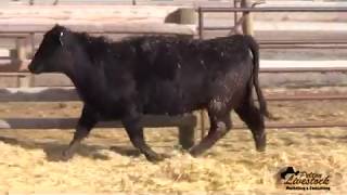 SCC 124