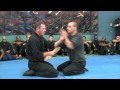 James Sinclair Teaching Wing Chun