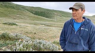 Tejon Talk #14: Bakersfield Cactus Restoration