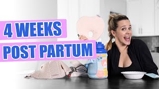 Four Weeks Post Partum - Baby Bjorn + Head Shaping Pillow